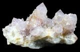 Cactus Quartz (Amethyst) Cluster - Large Crystals #38997-1